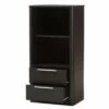 15.47" 2 Drawer Carlingford Modern and Contemporary Espresso Finished Wood Bookshelf Brown - Baxton Studio 2 15.47" 2 Drawer Carlingford Modern and Contemporary Espresso Finished Wood Bookshelf Brown - Baxton Studio -Bookshelves Sales Shop unnamed file 1041