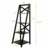 Costway 4-Tier Ladder Shelf Bookshelf Bookcase Storage Display Leaning Home Office Decor 1 Costway 4-Tier Ladder Shelf Bookshelf Bookcase Storage Display Leaning Home Office Decor -Bookshelves Sales Shop unnamed file 2148